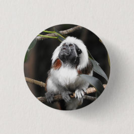 Tamarin Abzeichen Button