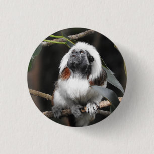 Tamarin-Abzeichen Button