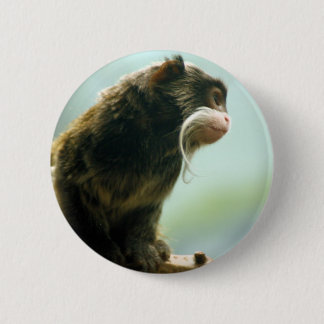 Tamarin-Affe Button