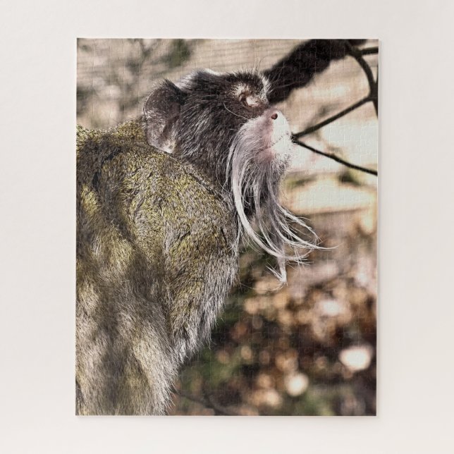 TAMARIN MONKEY (Vertikal)