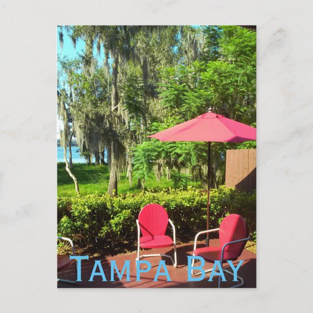 Tampa Bay Florida Postcard Postkarte (Vorderseite)