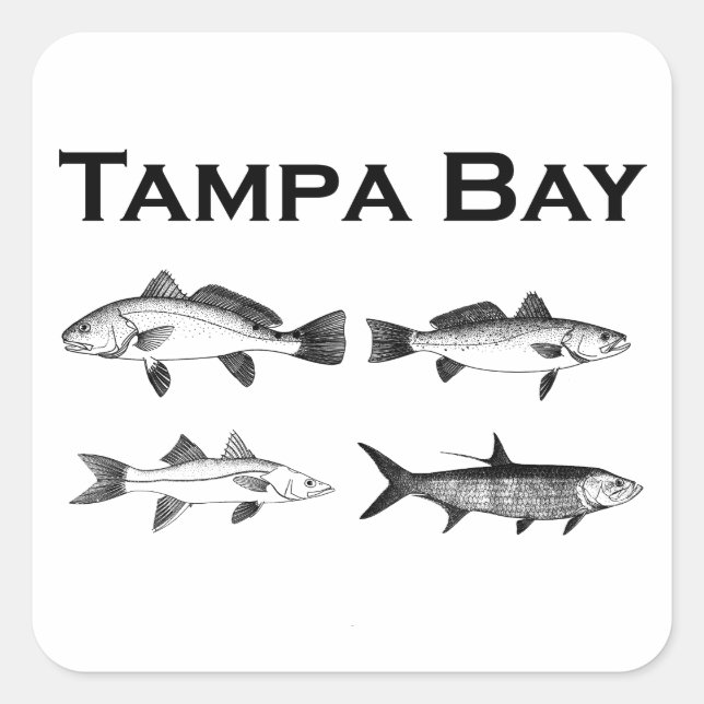 Tampa Bay Saltwater Fischen Quadratischer Aufkleber (Vorderseite)