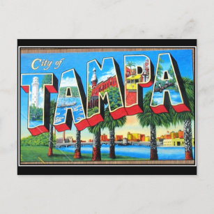 Tampa City Vintag Postcard Postkarte