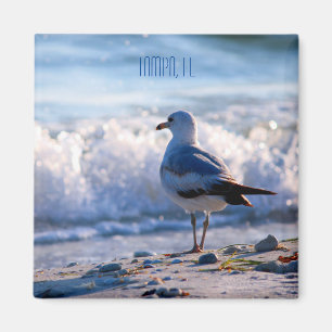 Tampa, FL Kühlschrankmagnet