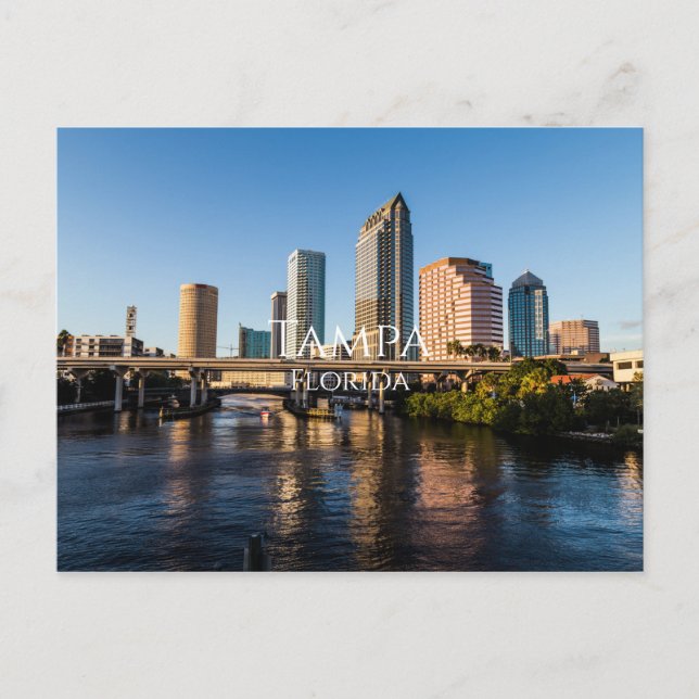 Tampa Florida Postcard Postkarte (Vorderseite)