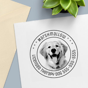 Tampon Auto-encreur Golden Retriever Chien Animaux de compagnie photo 