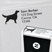 Irlandais Setter Chien race Silhouette Adresse de