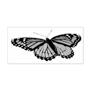 Tampon Auto-encreur Papillon Viceroy Belle photographie de la nature