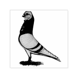 Tampon Auto-encreur Pigeon Valencian de Figurita