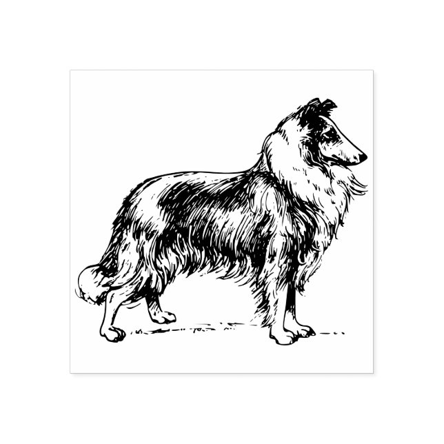 Tampon en caoutchouc pour chien Collie (Impression)