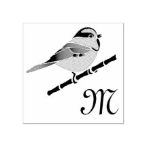 Adorable Carolina Chickadee