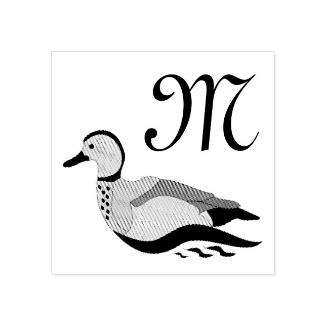 Tampons Encreurs Adorable Ringed Teal Duck Swimming (Impression)