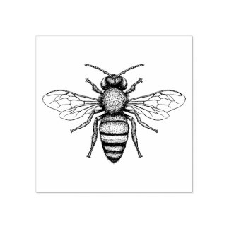 Tampons Encreurs Belle scrapbooking BEE