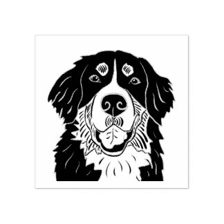 Tampons Encreurs Bernese mountain dog stamp