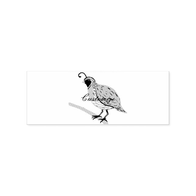 Tampons Encreurs Bobwhite Quail à gorge bleue Thunder_Cove (Impression)