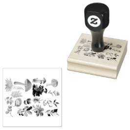 Tampons Encreurs Botaniques et champignons Vintages