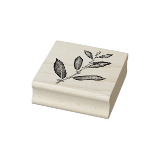 Tampons Encreurs Branche de Willow