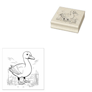 Tampons Encreurs Canard