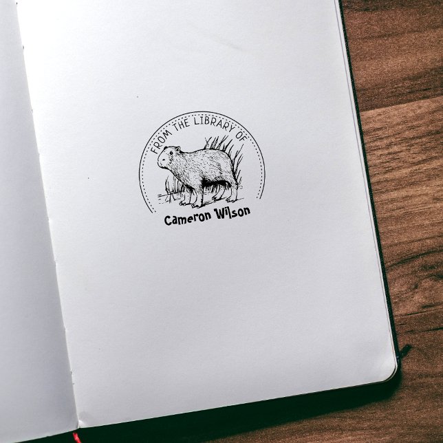 Tampons Encreurs Capybara De La Bibliothèque De, Livre (Créateur téléchargé)