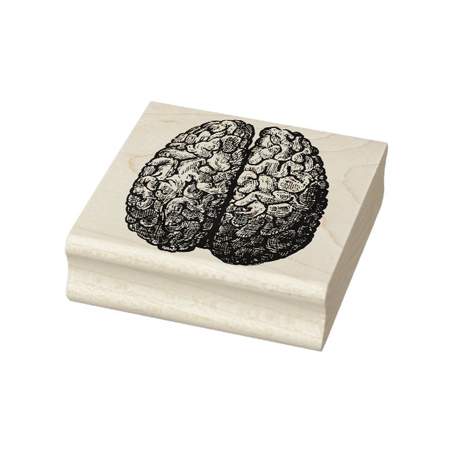 Tampons Encreurs Cerveau humain (Tampon)