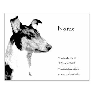 Tampons Encreurs Coated Collie Blanchet