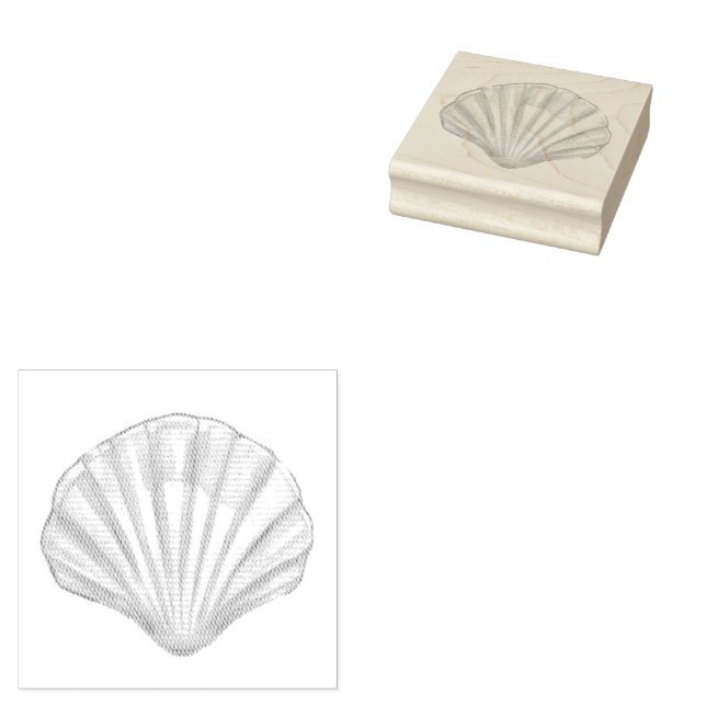 Tampons Encreurs Coquillage, Coquille de Saint-Jacques, Timbre en c (Tamponné)