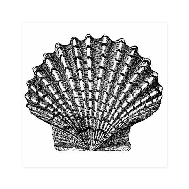 Tampons Encreurs Coquillage vintage (Impression)