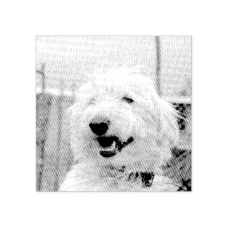 Tampons Encreurs Custom Pet Photo Etched Style