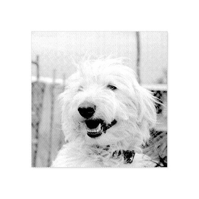 Tampons Encreurs Custom Pet Photo Etched Style (Impression)