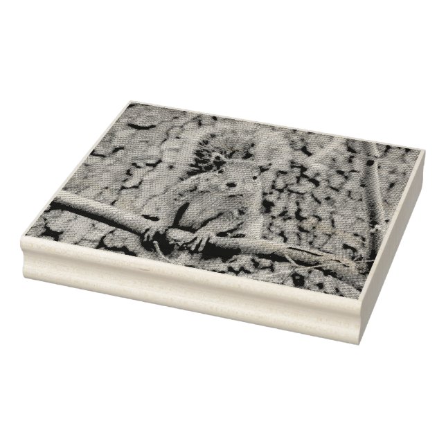 Tampons Encreurs Écureuil de renard (Tampon)