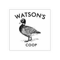 Family Coop | Timbre d'oeuf de canard