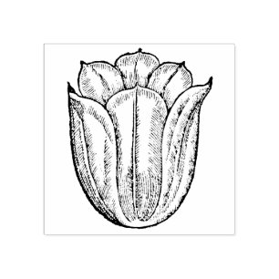 Tampons Encreurs Fleur de tulipe Rouge Floral Botanique Hollande