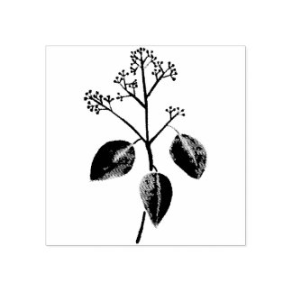Tampons Encreurs Fleur d'Eucalyptus