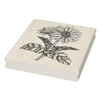 Tampons Encreurs Gerbera Daisy