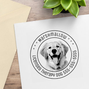 Tampons Encreurs Golden Retriever Chien Animaux de compagnie photo 