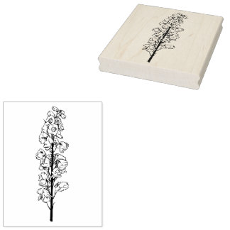 Tampons Encreurs Grand Larkspur De Delphinium Grand Long Floral