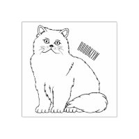 illustration de chat persan de dessin animé