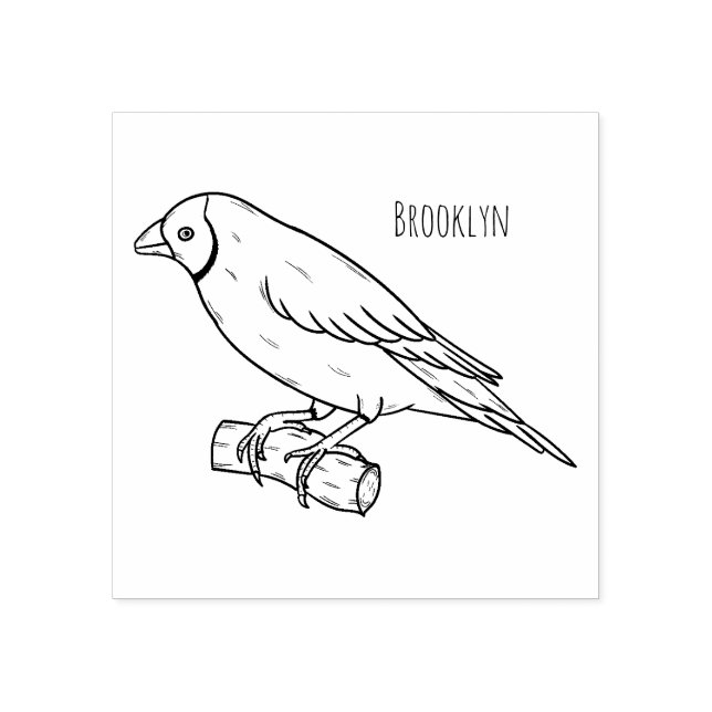 Tampons Encreurs Illustration de l'oiseau de taille gouldienne (Impression)
