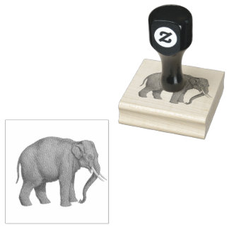 Tampons Encreurs Les animaux éléphants Safari