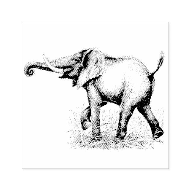 Tampons Encreurs Les animaux éléphants Safari (Impression)