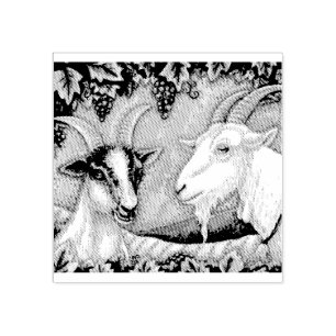 Tampons Encreurs NAPA VALLEY ENFANT & BANDE DE CHÈVRE BILLÉE * Pers