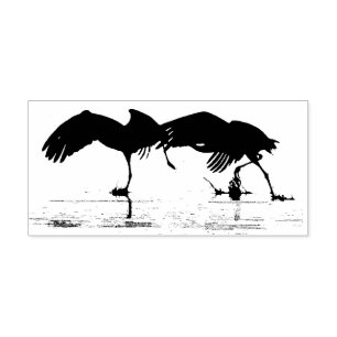 Tampons Encreurs Oiseaux de grue de Sandhill Animaux sauvages Timbr