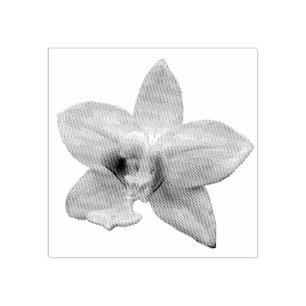 Tampons Encreurs Orchidée sauvage violette fleur tropicale