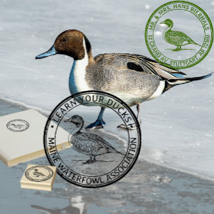Tampons Encreurs Pintail Duck Waterfowl Nature ou retour Adresse
