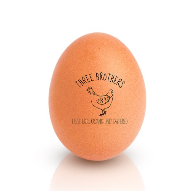 Tampons Encreurs Poulets dessinés à la main Petits oeufs de ferme (Créateur téléchargé)