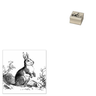 Tampons Encreurs Tambour rustique Lapin Timbre en caoutchouc Vintag