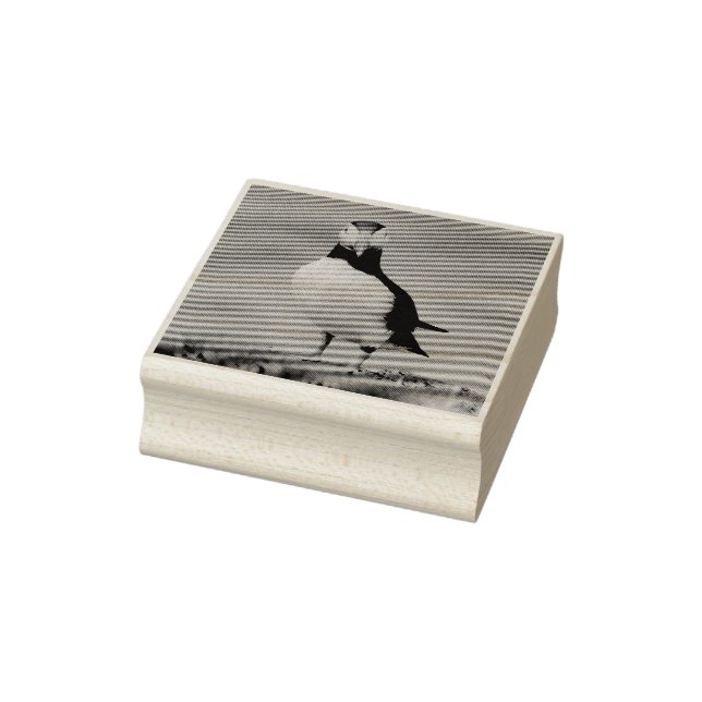 Tampons Encreurs Timbre de Puffin (Tampon)