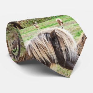 Tan Colored Shetland Pony, Krawatte