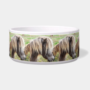 Tan Colored Shetland Pony, Napf