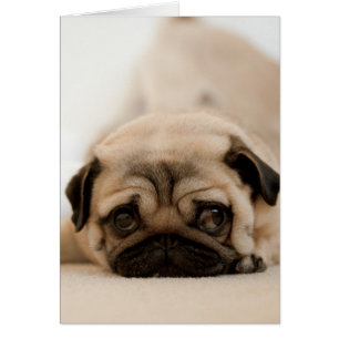 Tan Female Mops